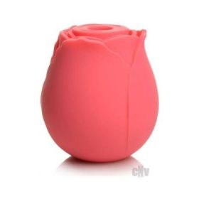 Gossip Rose Crave Pink