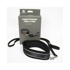 Spartacus Collar And Leash Neoprene Silver