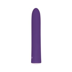 Evolved Rechargeable Slim Vibe 7 Function Waterproof Purple